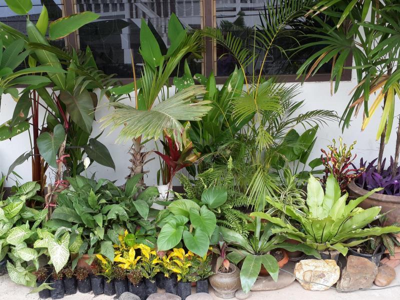 The Stay Guest House Loei Extérieur photo